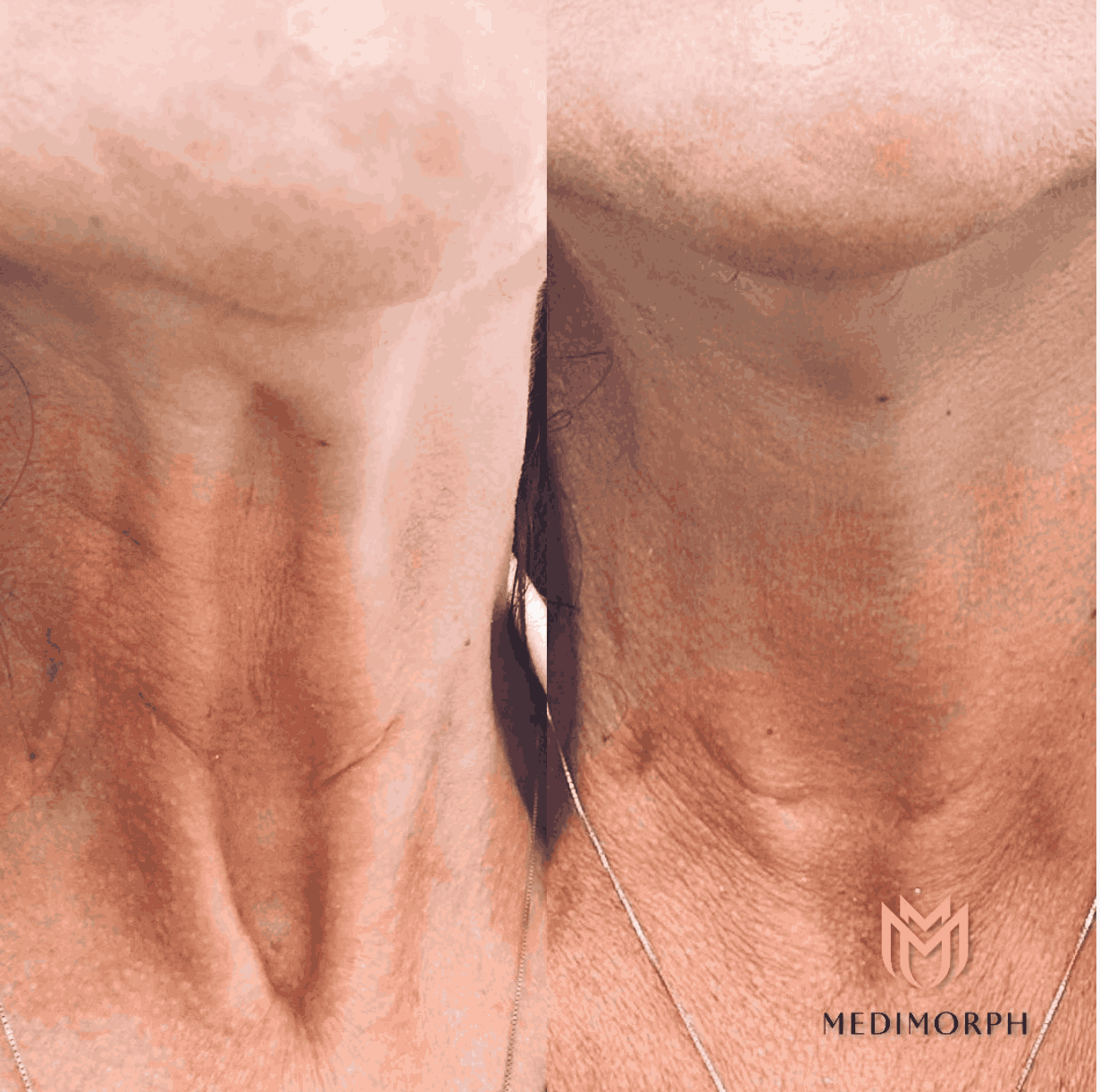 MediMorph provider photo