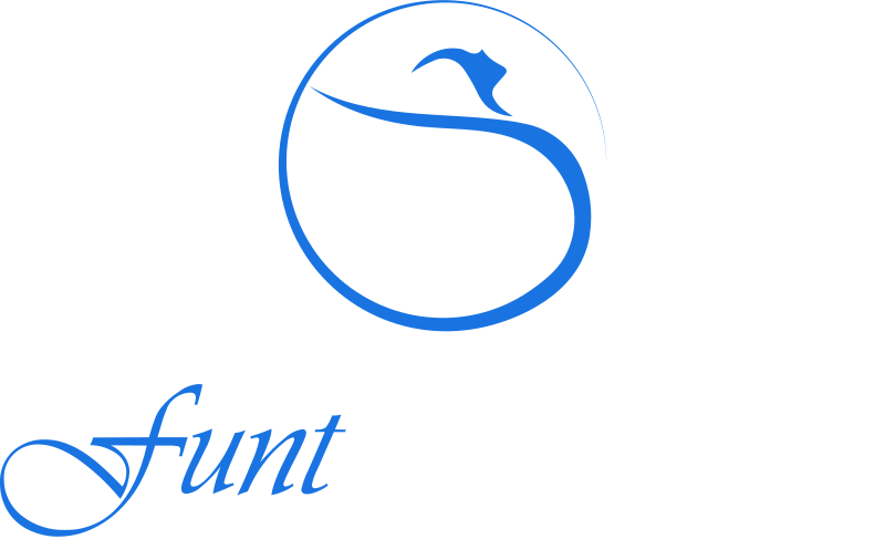 Funt Aesthetics (David K. Funt, MD) logo