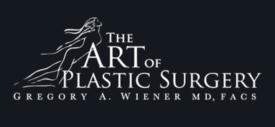 The Art of Plastic Surgery (Gregory A. Wiener, MD)