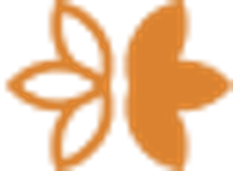 Ksenija Belsley, MD logo