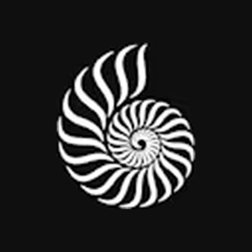 Stile Aesthetics logo
