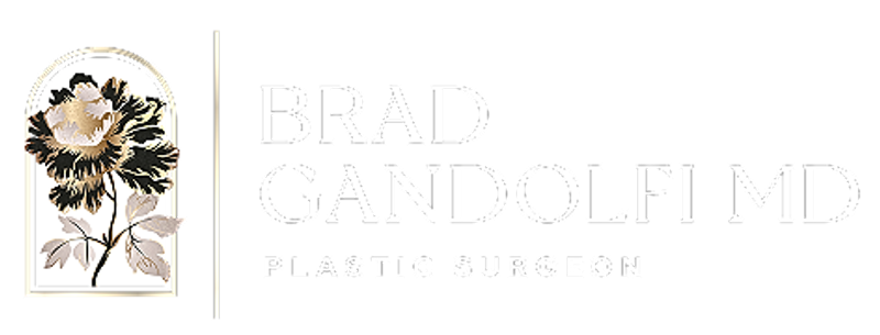 Hudson Plastic Surgery (Brad Gandolfi, MD) logo